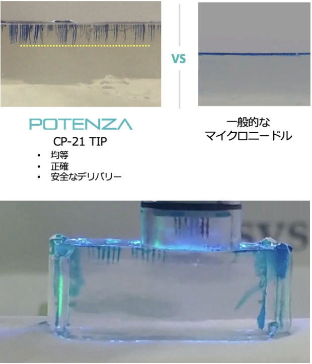 ポテンツァ